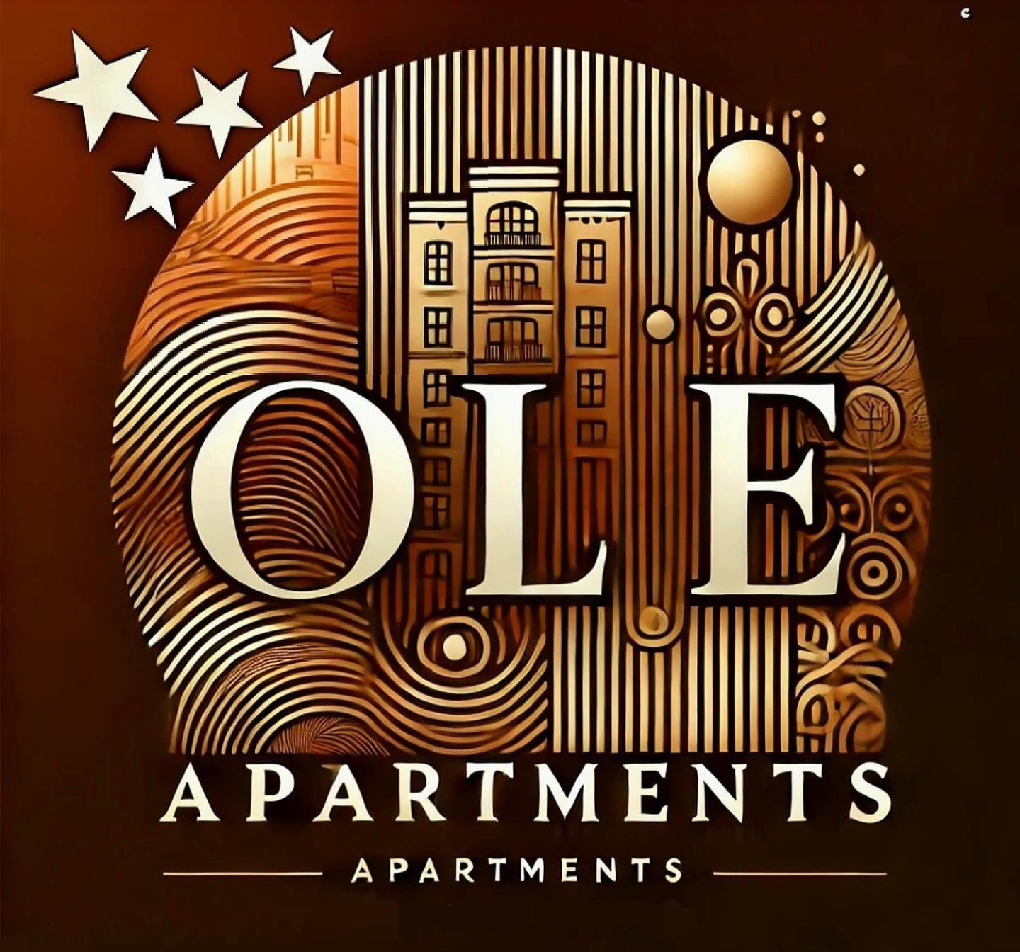 Ole Apartment - Get Your Energy For Free! Coffee And Tea On The House ティミショアラ エクステリア 写真